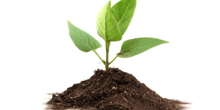 o-TALK-TO-A-PLANT-facebook